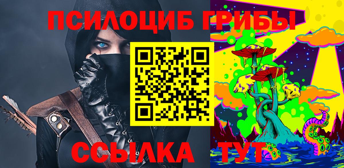 где найти наркотики  Псилоцибиновые грибы Magic Shrooms  Вход с VPN  Норильск 