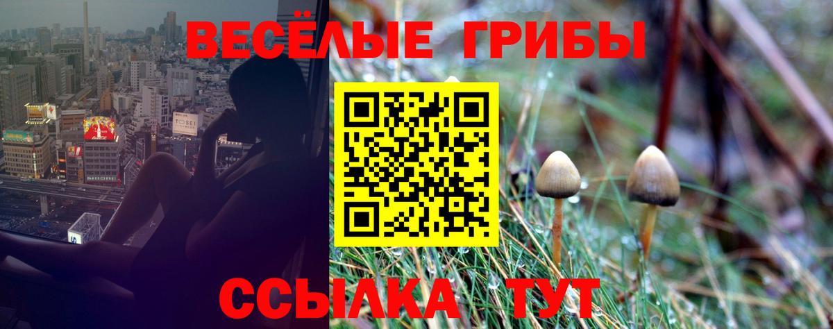 Псилоцибиновые грибы мухоморы Норильск